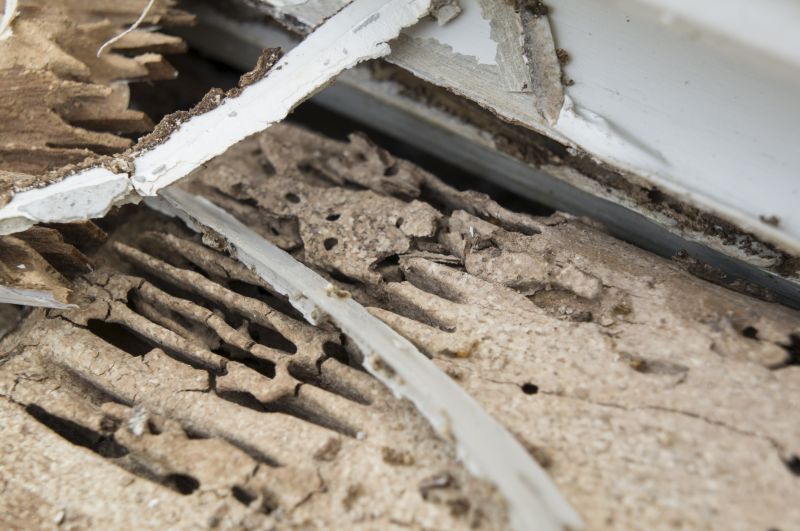 Weather And Moisture Damage In Outdoor Structures