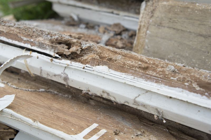 Wood Rot Repair For Decks, Porches, And Ramps